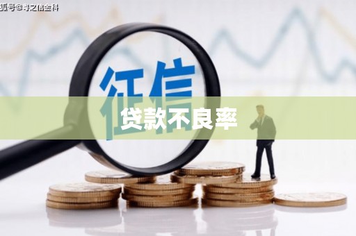 怀柔贷款不良率