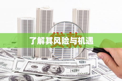 怀柔了解其风险与机遇