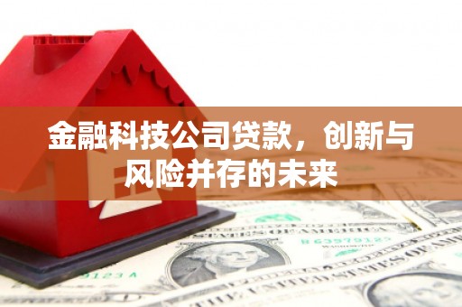 怀柔金融科技公司贷款，创新与风险并存的未来