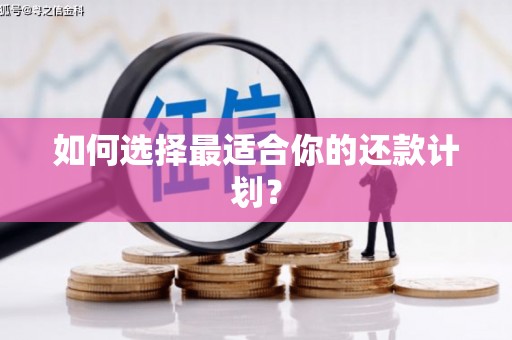 怀柔如何选择最适合你的还款计划？