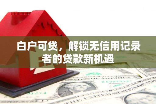怀柔白户可贷，解锁无信用记录者的贷款新机遇