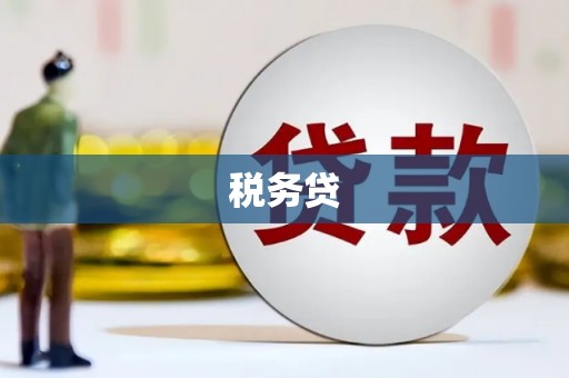 怀柔税务贷