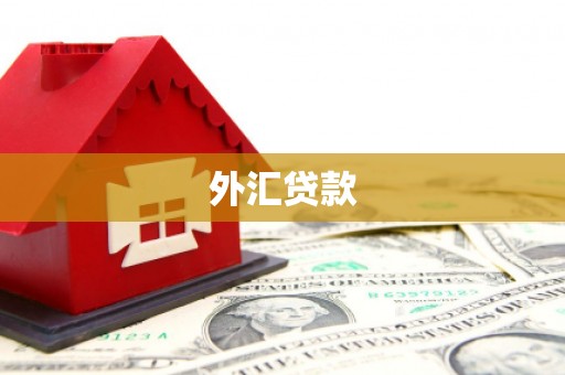 怀柔外汇贷款