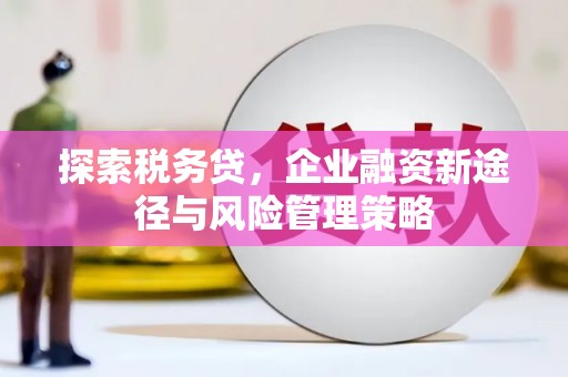 怀柔探索税务贷，企业融资新途径与风险管理策略
