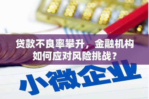怀柔贷款不良率攀升，金融机构如何应对风险挑战？