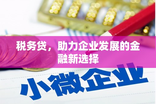怀柔税务贷，助力企业发展的金融新选择