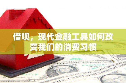 怀柔借呗，现代金融工具如何改变我们的消费习惯