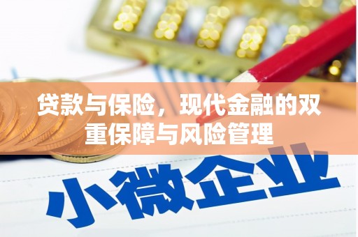 怀柔贷款与保险，现代金融的双重保障与风险管理