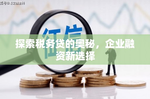 怀柔探索税务贷的奥秘，企业融资新选择