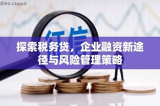 怀柔探索税务贷，企业融资新途径与风险管理策略