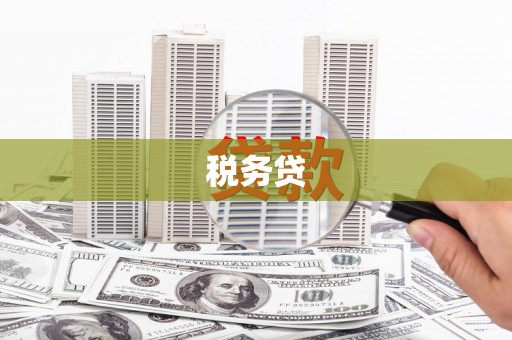 怀柔税务贷