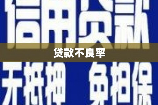 怀柔贷款不良率