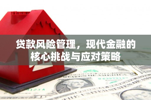 怀柔贷款风险管理，现代金融的核心挑战与应对策略