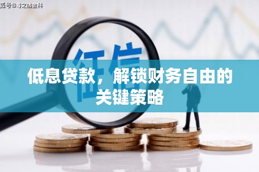 怀柔低息贷款，解锁财务自由的关键策略