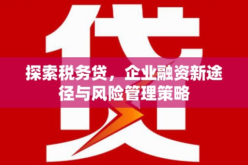 怀柔探索税务贷，企业融资新途径与风险管理策略