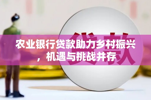 怀柔农业银行贷款助力乡村振兴，机遇与挑战并存