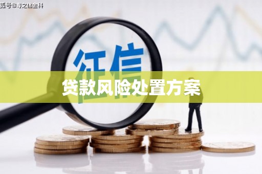 怀柔贷款风险处置方案