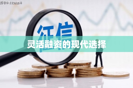 怀柔灵活融资的现代选择
