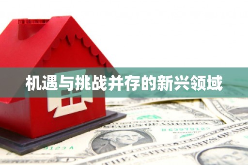 怀柔机遇与挑战并存的新兴领域